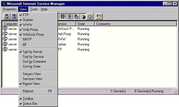 Internet Service Manager View Menu.jpg (53565 bytes)