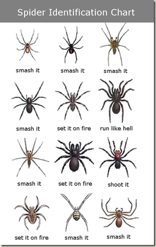 all-spiders-must-die