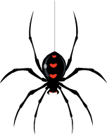 black-widow